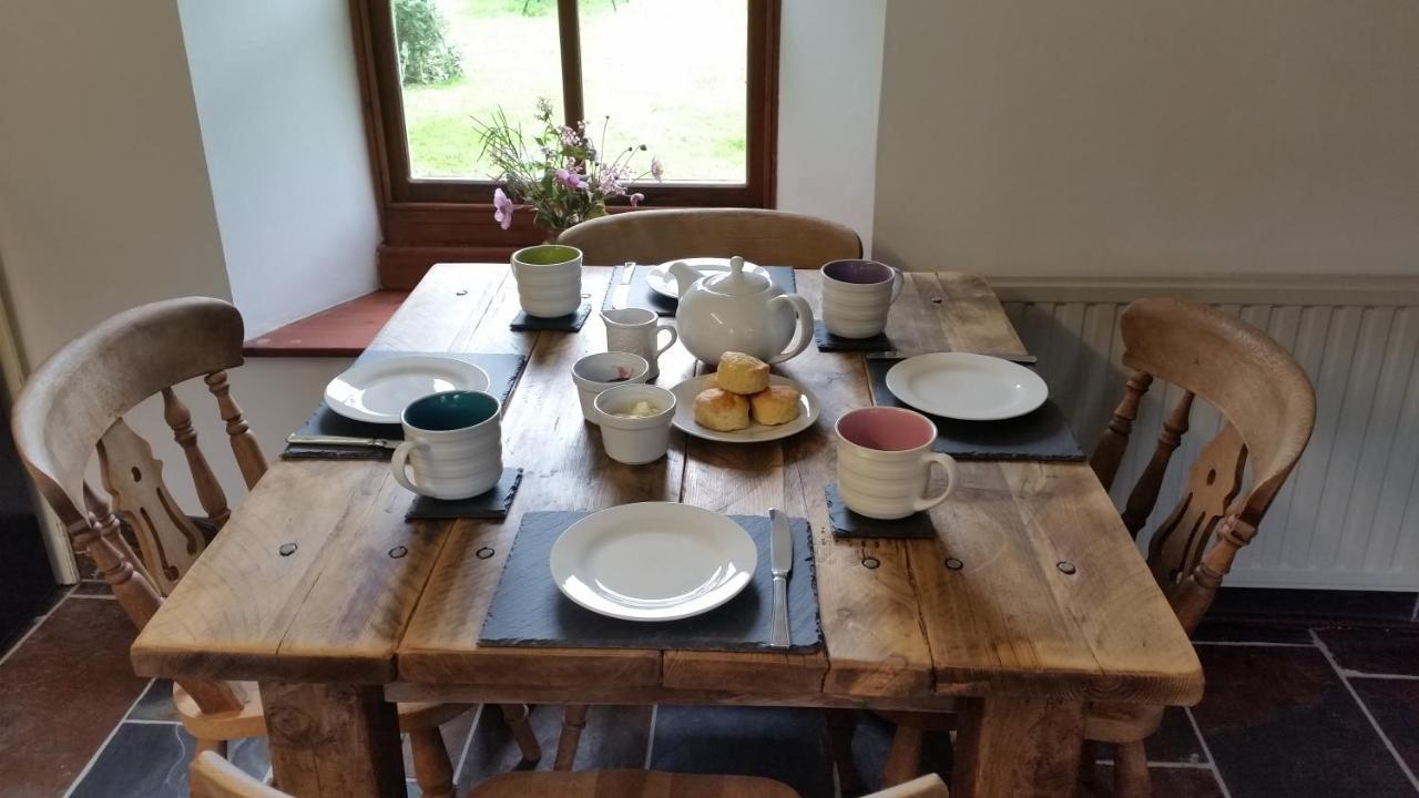 Coopers Cottage Dog Friendly North Cornwall Delabole Esterno foto
